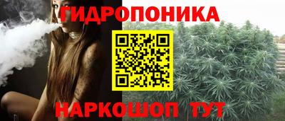 ешки Гай