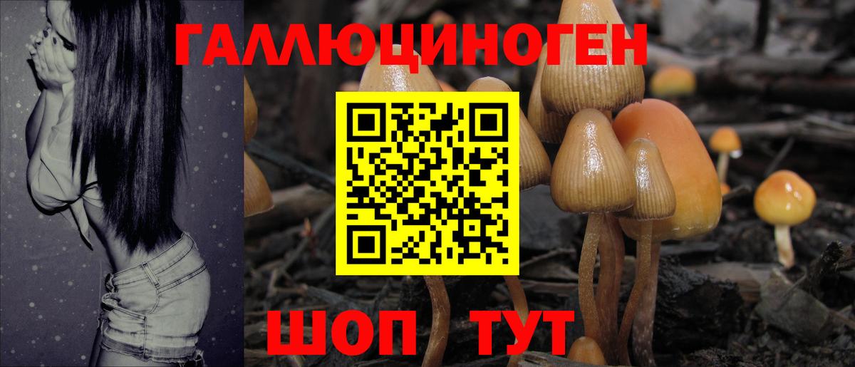 Минусинск  Псилоцибиновые грибы мухоморы  Вход с VPN 